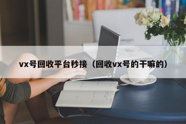 vx号回收平台秒接（回收vx号的干嘛的）