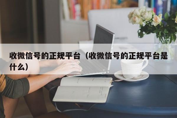 收微信号的正规平台（收微信号的正规平台是什么）